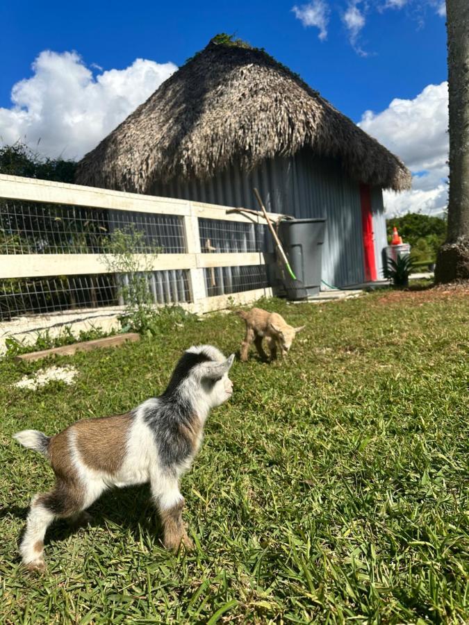 Arritola B And B Ranch Хоумстед Екстериор снимка